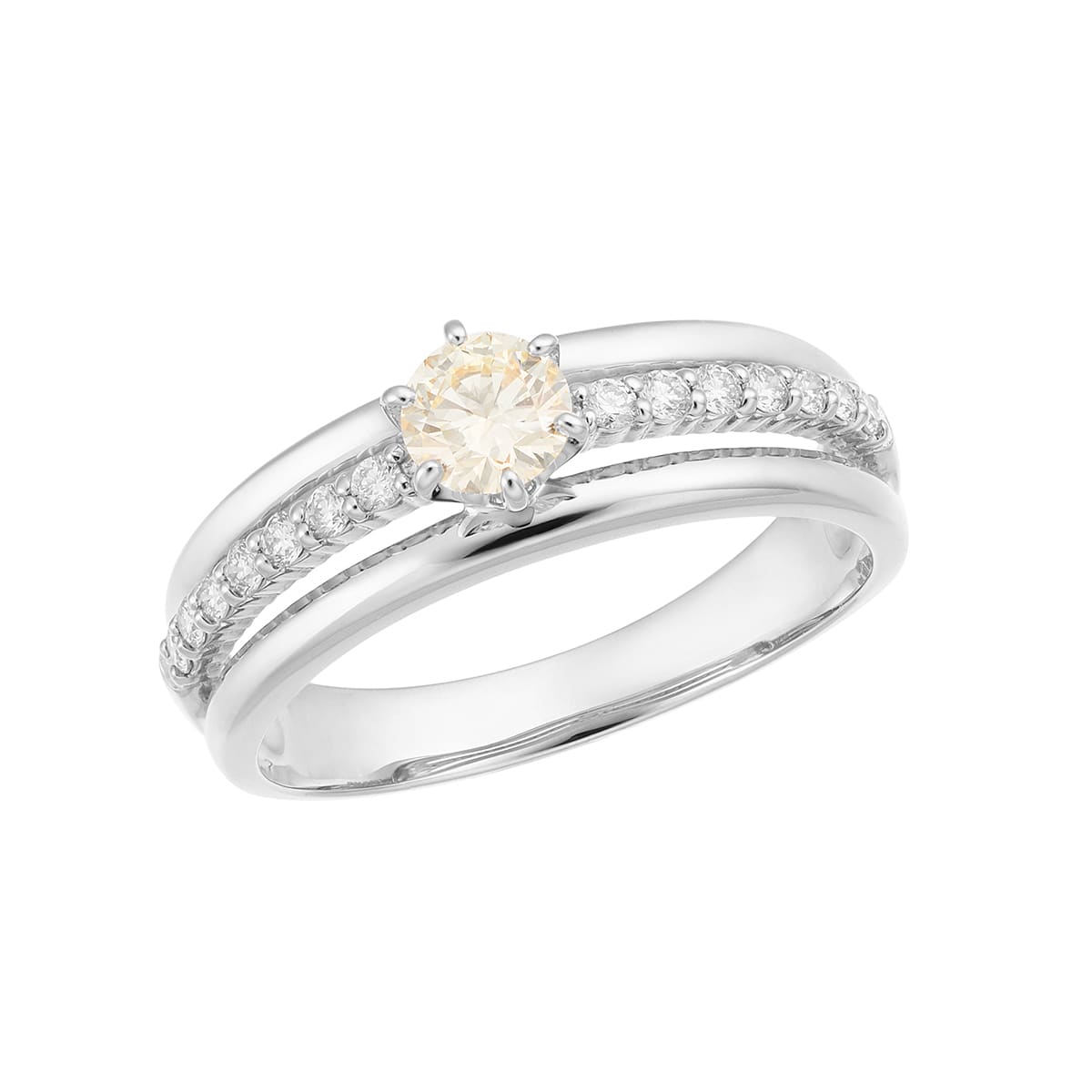 �v���`�i�Ӓ菑�t�_�C�������h�����O�i0.3�J���b�g�j