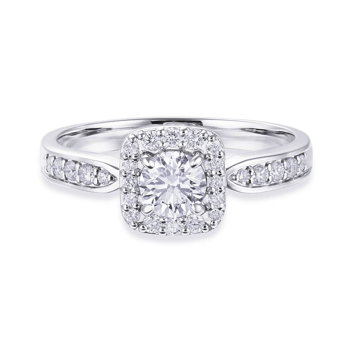 �v���`�i�Ӓ菑�t�_�C�������h�����O�i0.34�J���b�g�j