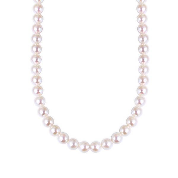 �A�R���^��l�b�N���X�i8.5�`9mm�j