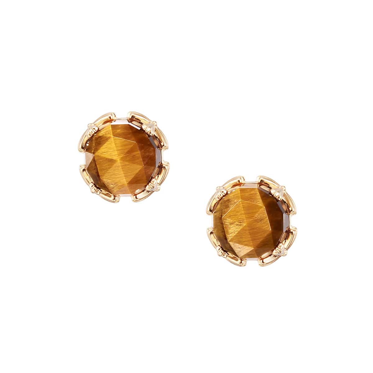 K10�C�G���[�S�[���h�^�C�K�[�A�C�s�A�X