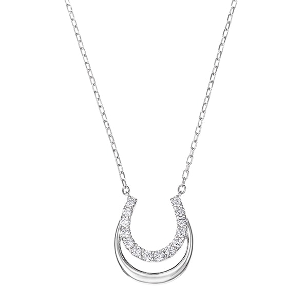 �v���`�i�_�C�������h�l�b�N���X